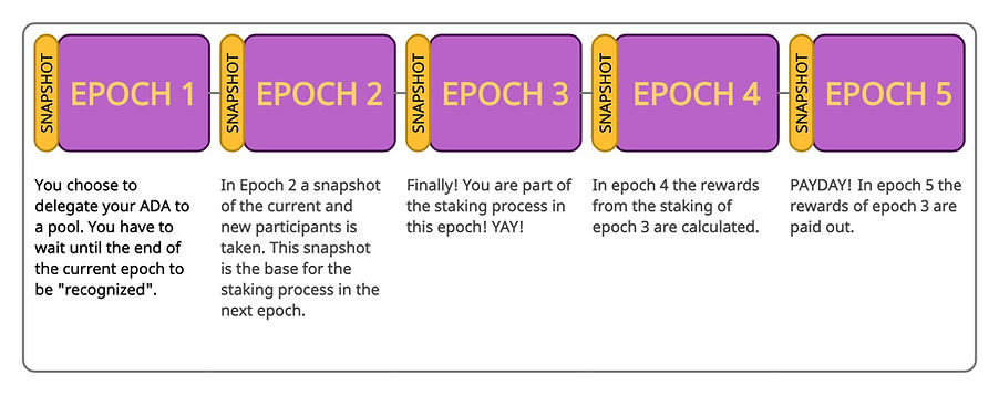 Epoch Reward Diagram